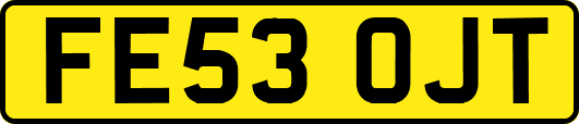FE53OJT