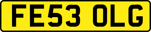 FE53OLG