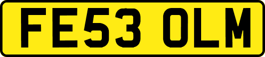 FE53OLM