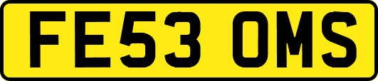 FE53OMS