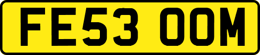 FE53OOM