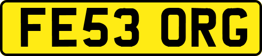 FE53ORG