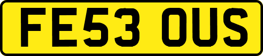 FE53OUS