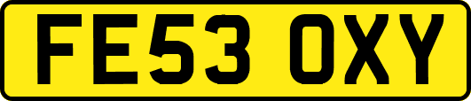 FE53OXY