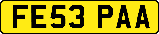 FE53PAA