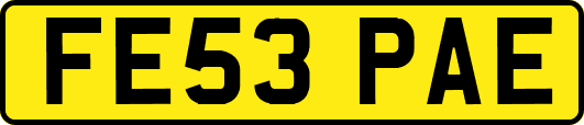 FE53PAE