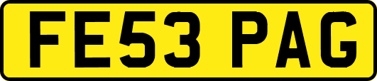 FE53PAG
