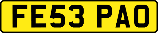 FE53PAO
