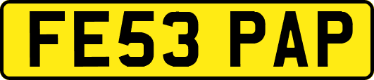 FE53PAP