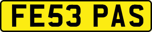 FE53PAS