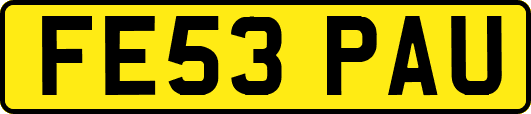 FE53PAU