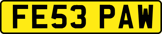 FE53PAW
