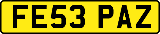 FE53PAZ