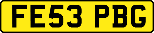 FE53PBG