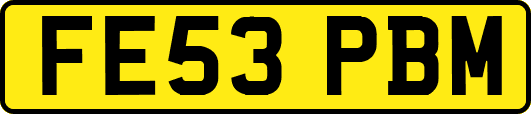 FE53PBM