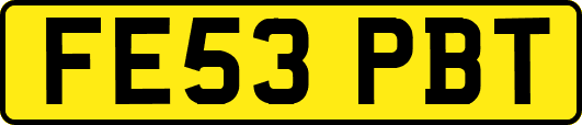 FE53PBT