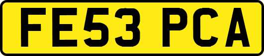 FE53PCA