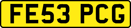 FE53PCG