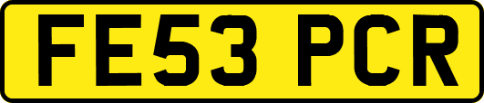 FE53PCR
