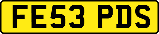 FE53PDS
