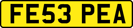 FE53PEA