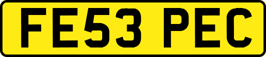 FE53PEC