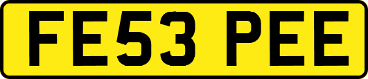 FE53PEE