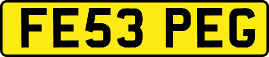 FE53PEG