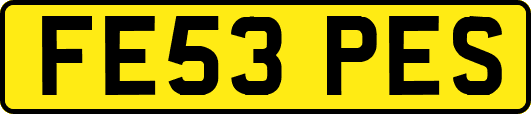 FE53PES