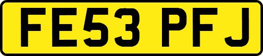FE53PFJ