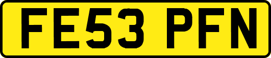 FE53PFN
