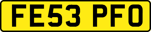 FE53PFO