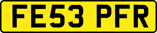 FE53PFR