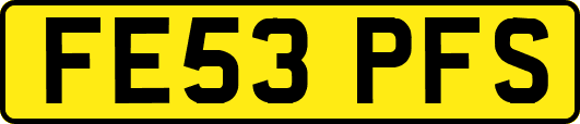 FE53PFS
