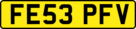 FE53PFV