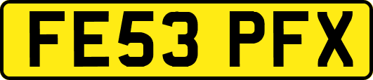 FE53PFX