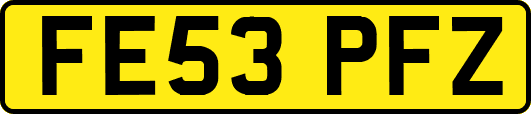 FE53PFZ