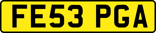 FE53PGA