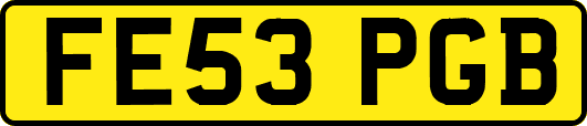 FE53PGB