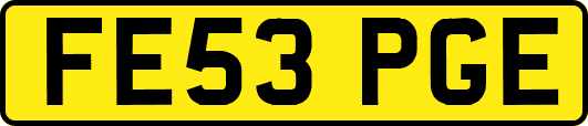 FE53PGE