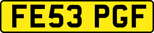 FE53PGF