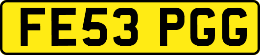 FE53PGG
