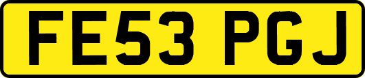 FE53PGJ
