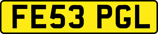 FE53PGL