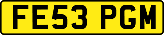 FE53PGM