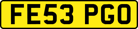 FE53PGO