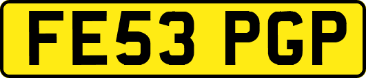 FE53PGP