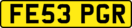 FE53PGR