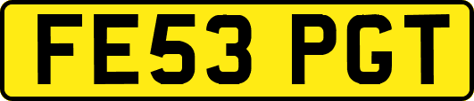 FE53PGT
