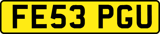 FE53PGU